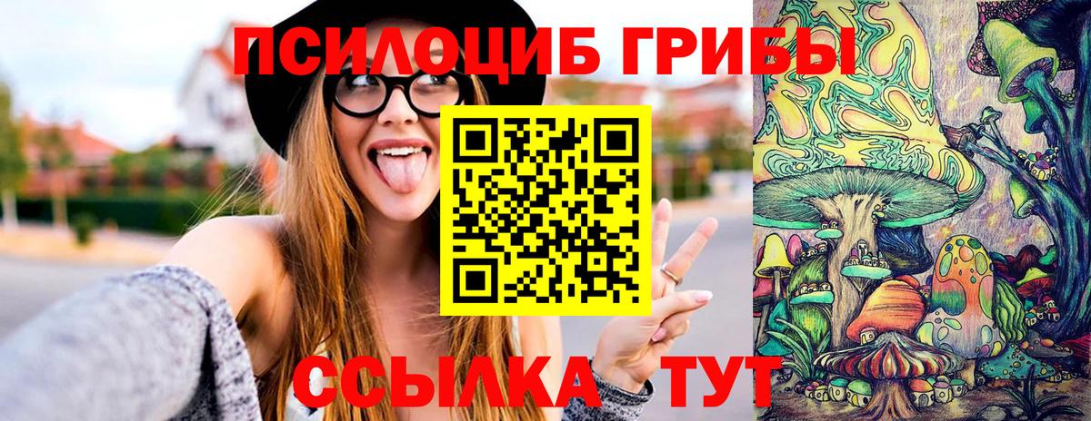 Галлюциногенные грибы Cubensis Саки