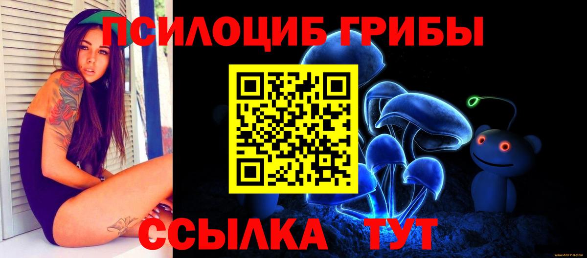 Псилоцибиновые грибы Psilocybine cubensis  где можно купить   Саки  Вход с VPN 
